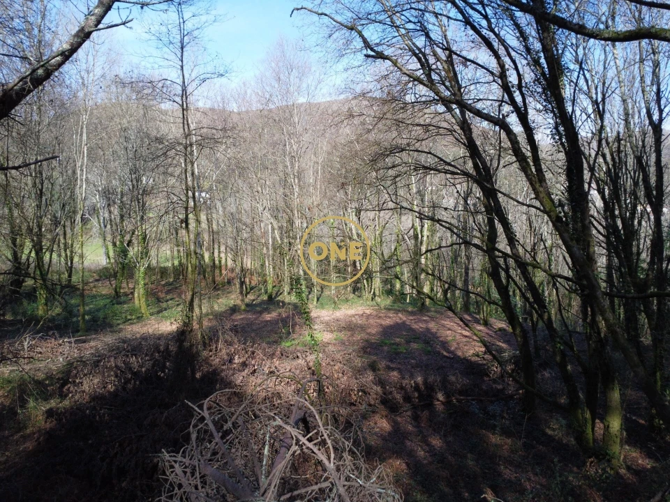 Terreno para Venda em Valdreu Foto 22