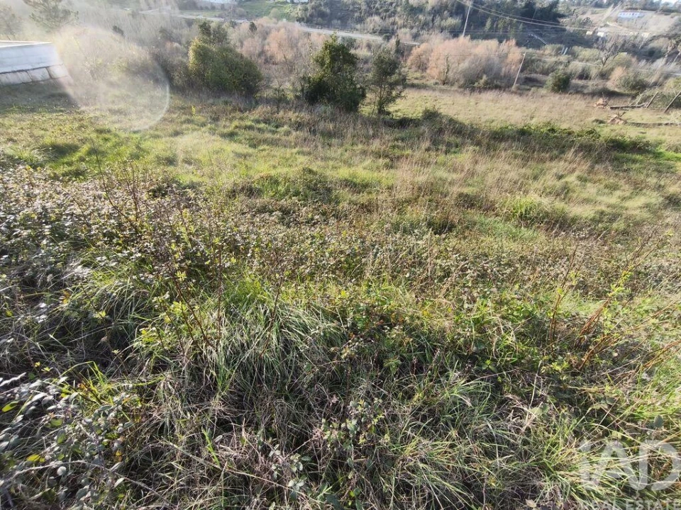 Terreno para Venda em Batalha Foto 7