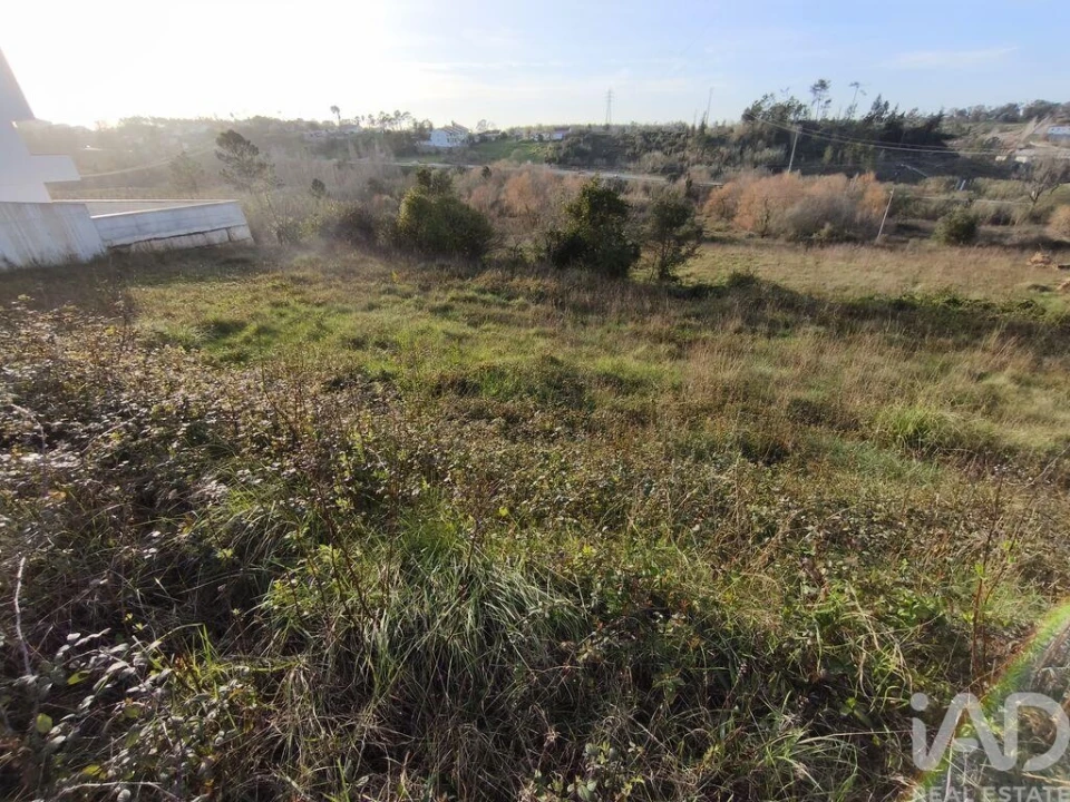 Terreno para Venda em Batalha Foto 5