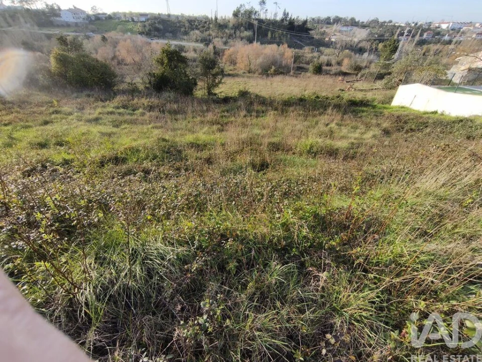 Terreno para Venda em Batalha Foto 24