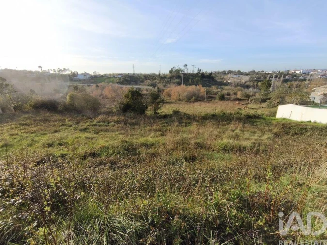 Terreno para Venda em Batalha Foto 4
