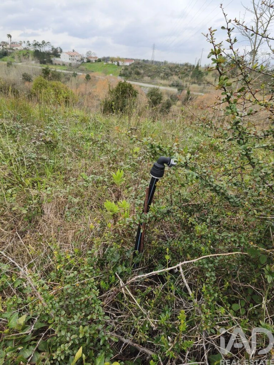 Terreno para Venda em Batalha Foto 22