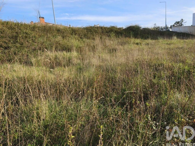 Terreno para Venda em Batalha Foto 14