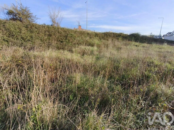 Terreno para Venda em Batalha Foto 21