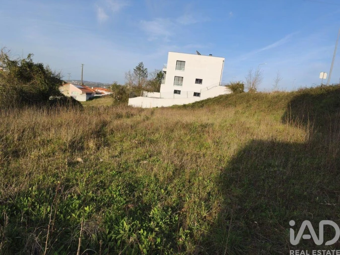 Terreno para Venda em Batalha Foto 10