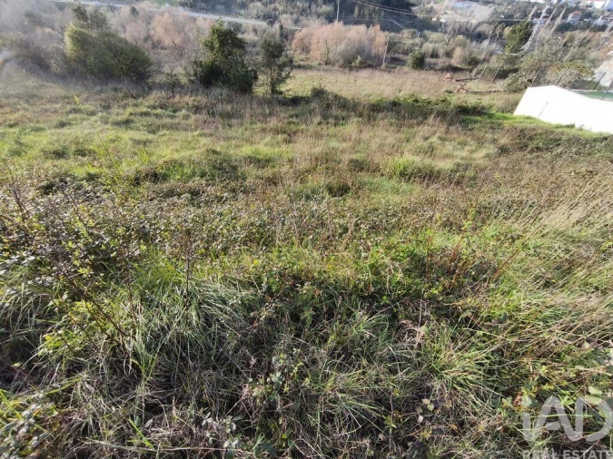 Terreno para Venda em Batalha Foto 8