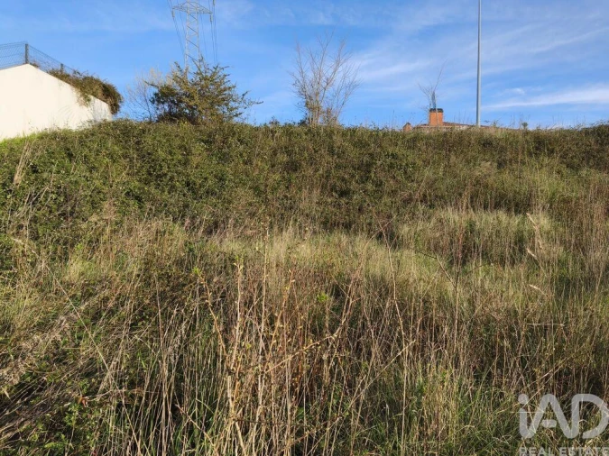 Terreno para Venda em Batalha Foto 15