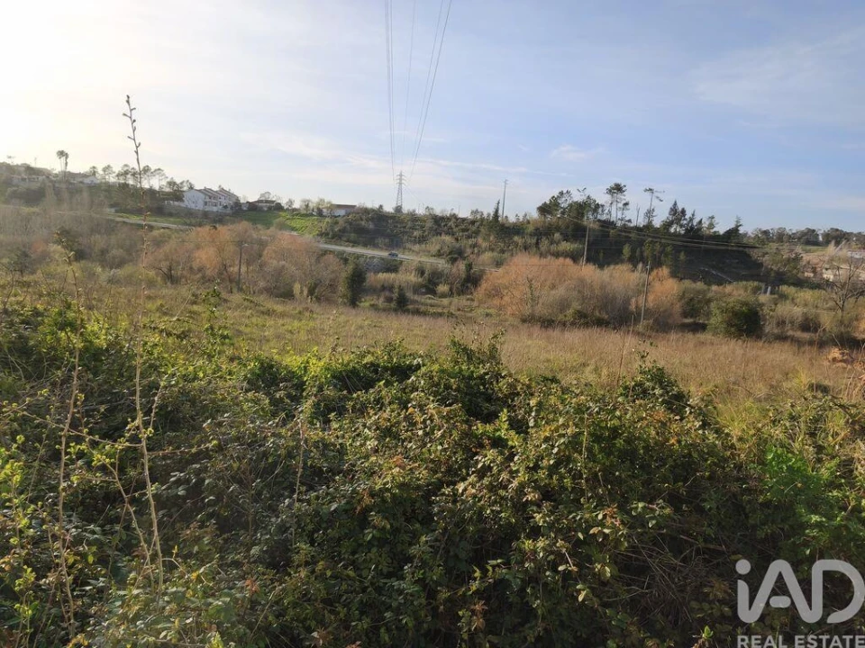 Terreno para Venda em Batalha Foto 20