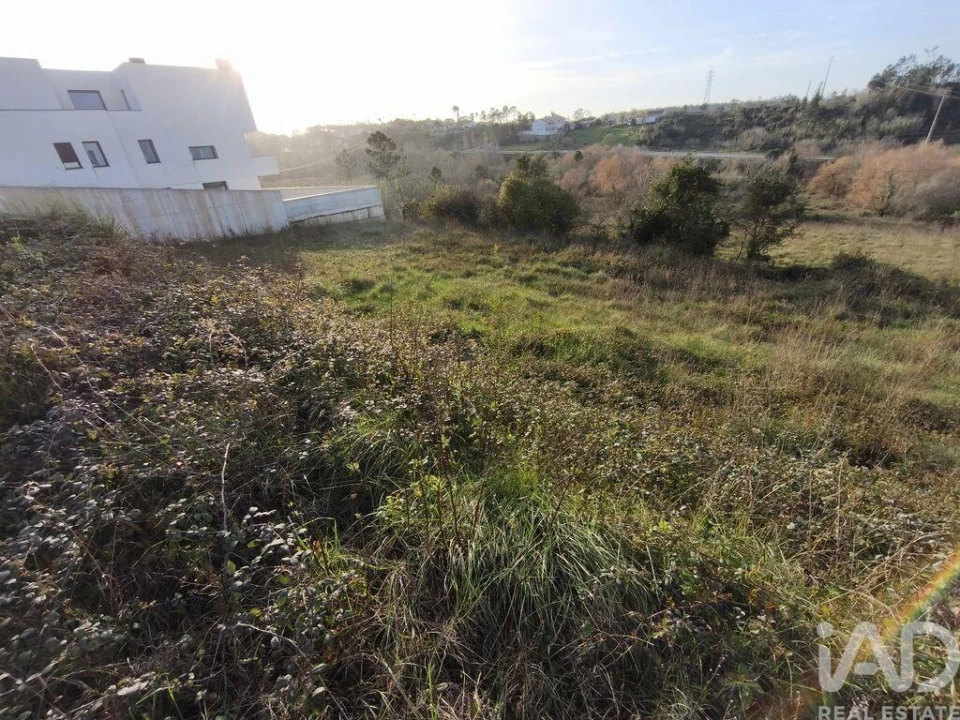 Terreno para Venda em Batalha Foto 6