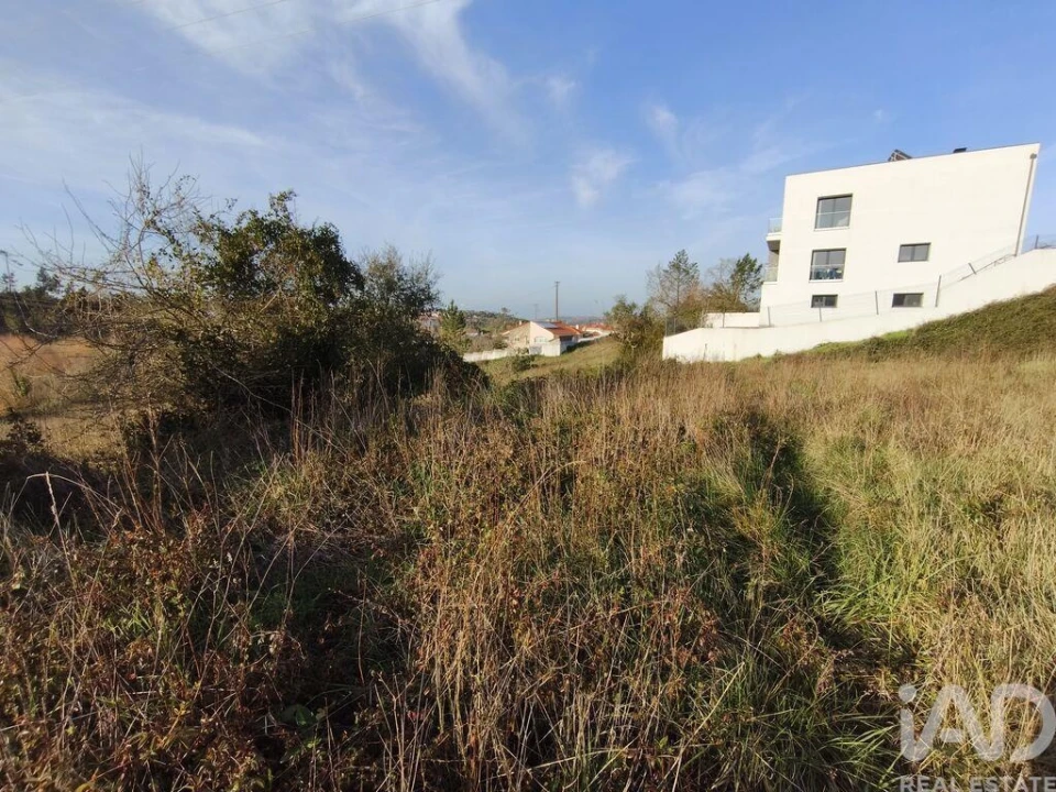 Terreno para Venda em Batalha Foto 18