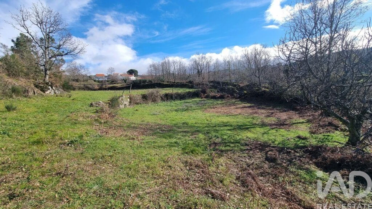 Terreno para Venda em São Pedro e Santa Maria e Vila Boa do Mondego Foto 19