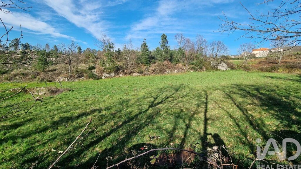 Terreno para Venda em São Pedro e Santa Maria e Vila Boa do Mondego Foto 17