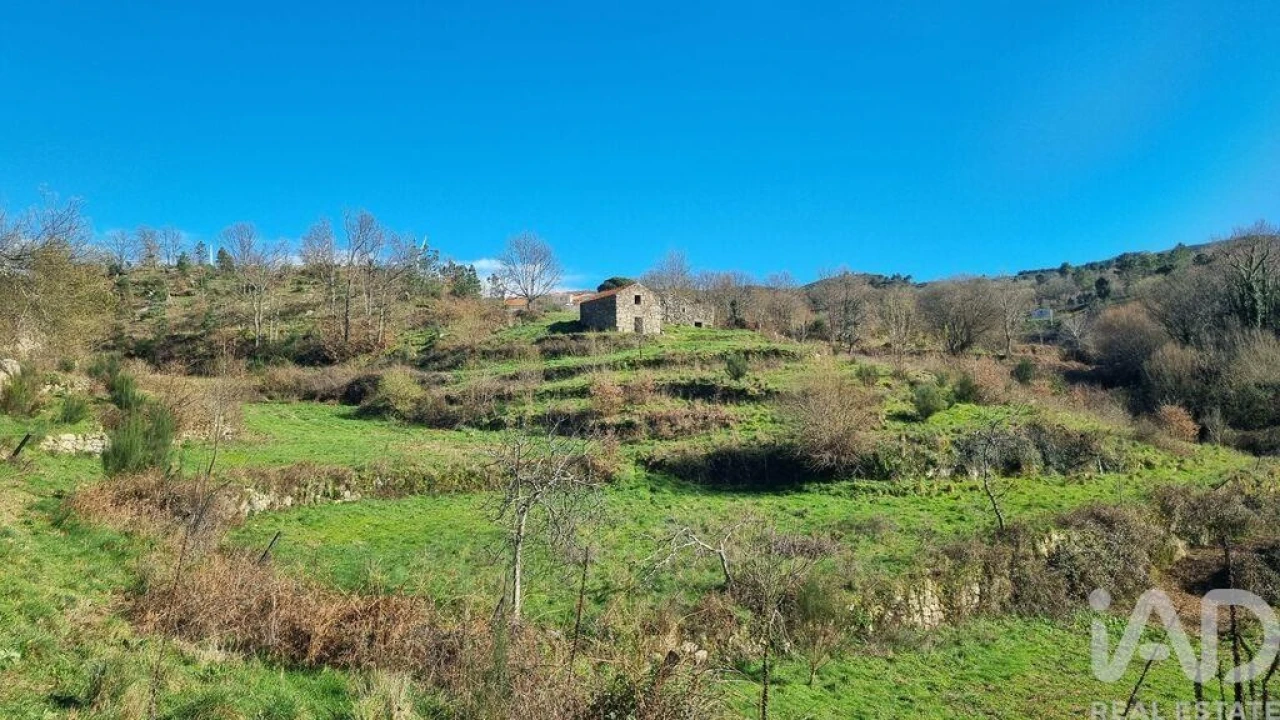 Terreno para Venda em São Pedro e Santa Maria e Vila Boa do Mondego Foto 1