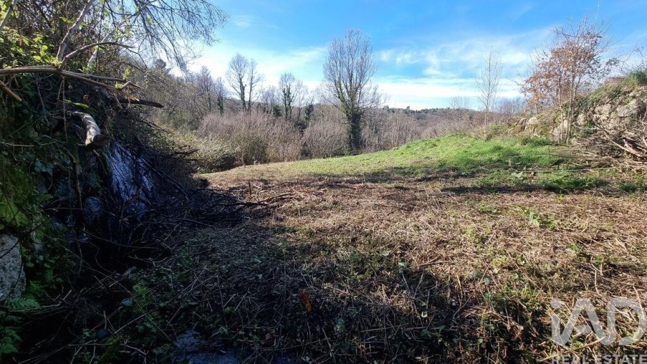 Terreno para Venda em São Pedro e Santa Maria e Vila Boa do Mondego Foto 23