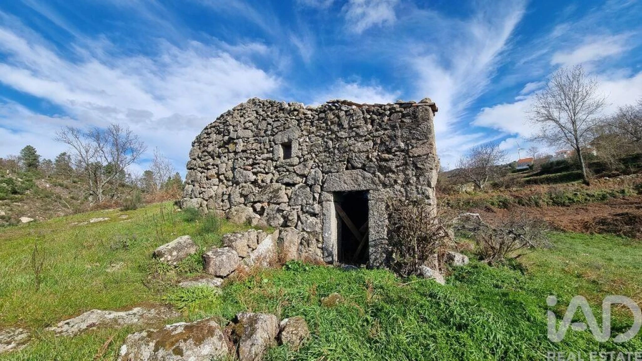Terreno para Venda em São Pedro e Santa Maria e Vila Boa do Mondego Foto 35
