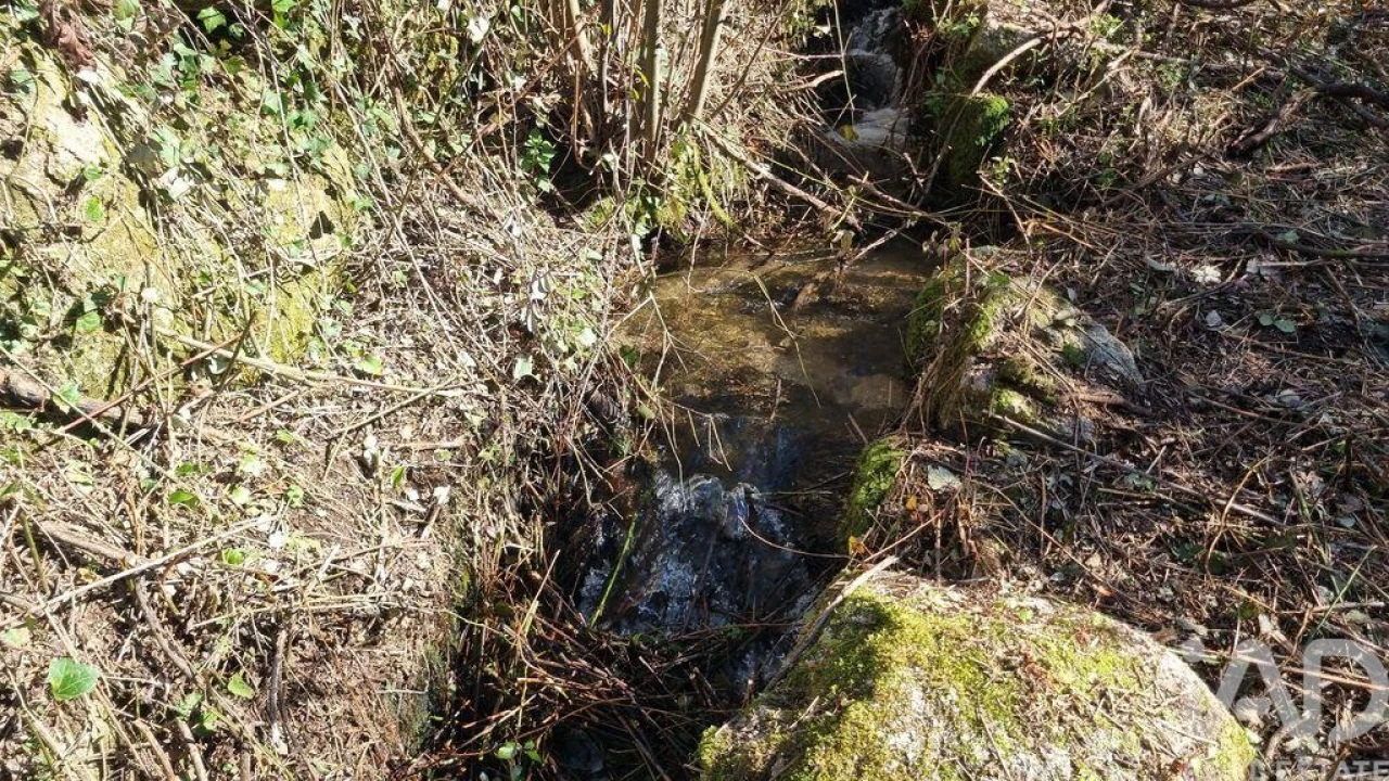 Terreno para Venda em São Pedro e Santa Maria e Vila Boa do Mondego Foto 6