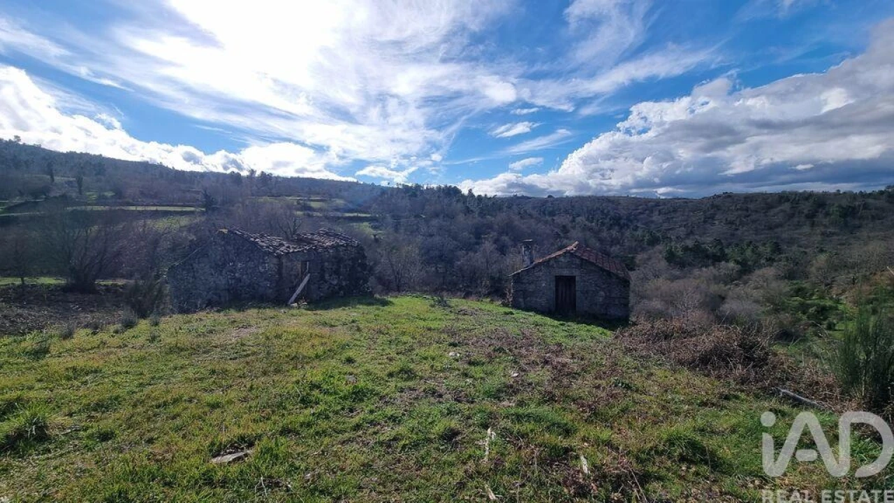 Terreno para Venda em São Pedro e Santa Maria e Vila Boa do Mondego Foto 29