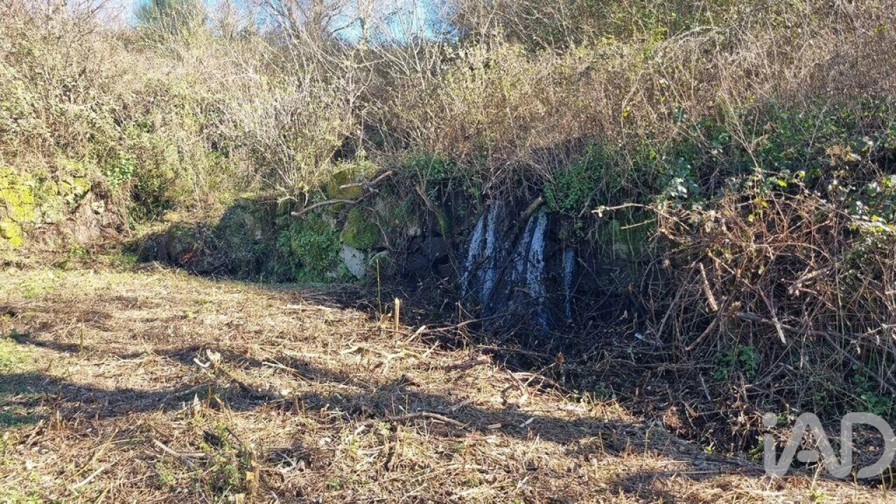 Terreno para Venda em São Pedro e Santa Maria e Vila Boa do Mondego Foto 21