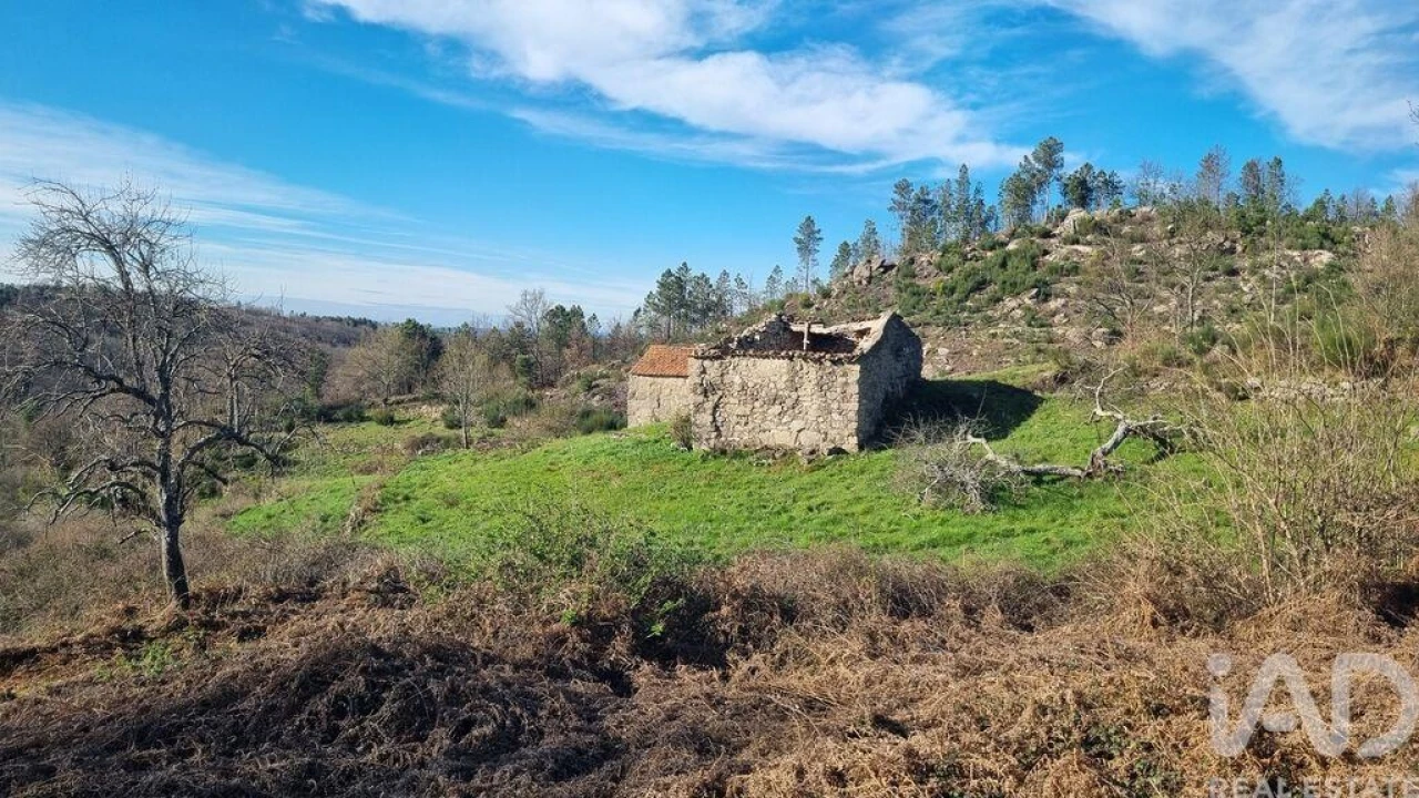 Terreno para Venda em São Pedro e Santa Maria e Vila Boa do Mondego Foto 3