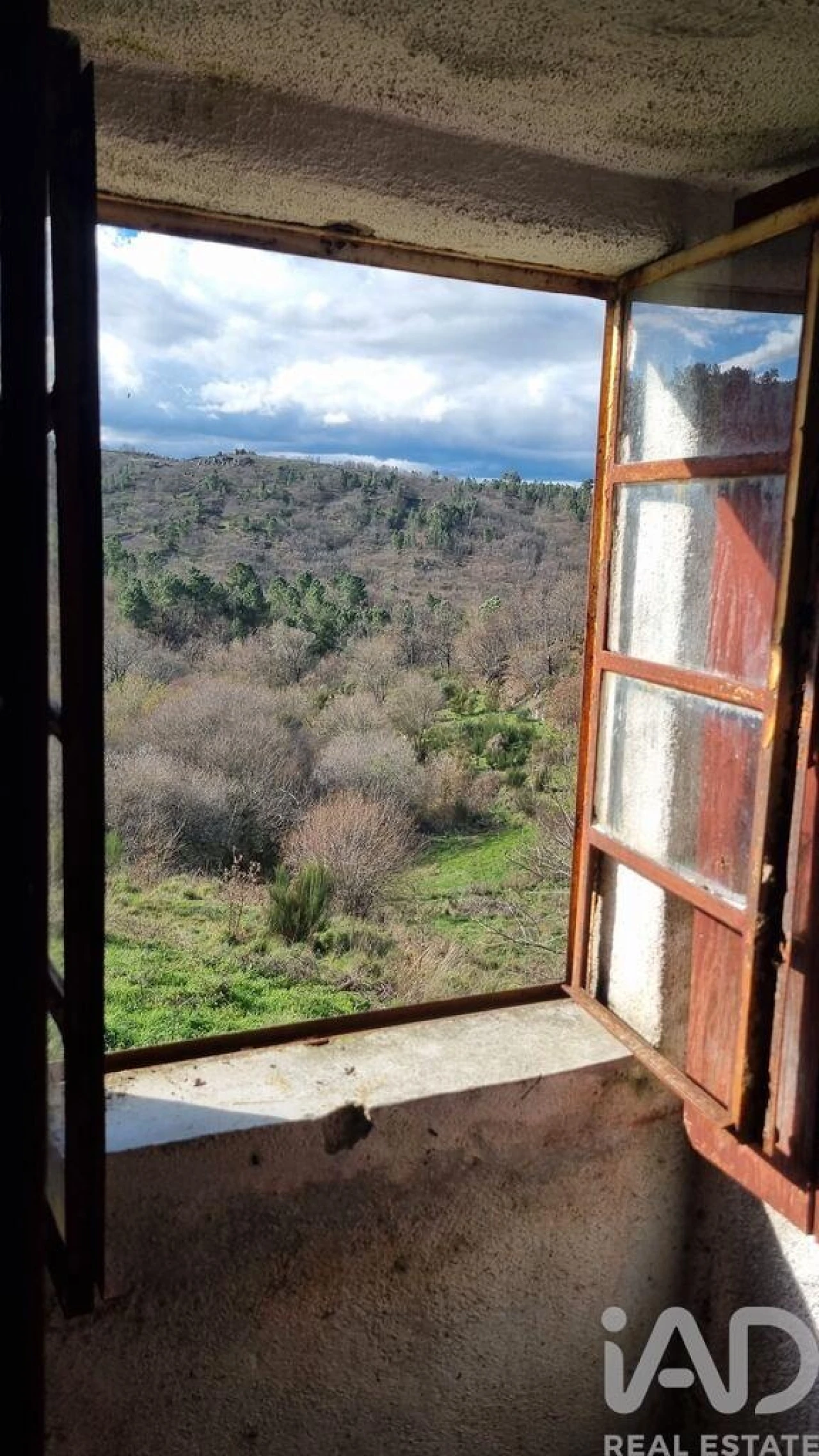 Terreno para Venda em São Pedro e Santa Maria e Vila Boa do Mondego Foto 13