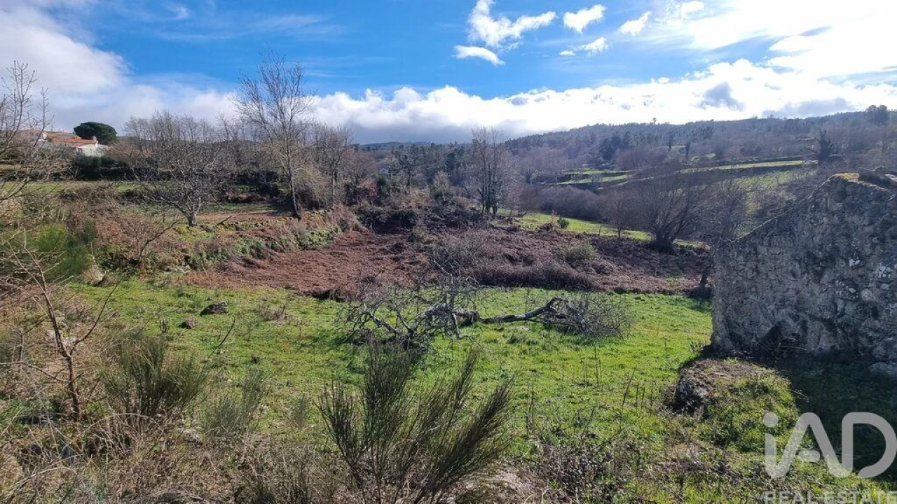 Terreno para Venda em São Pedro e Santa Maria e Vila Boa do Mondego Foto 15