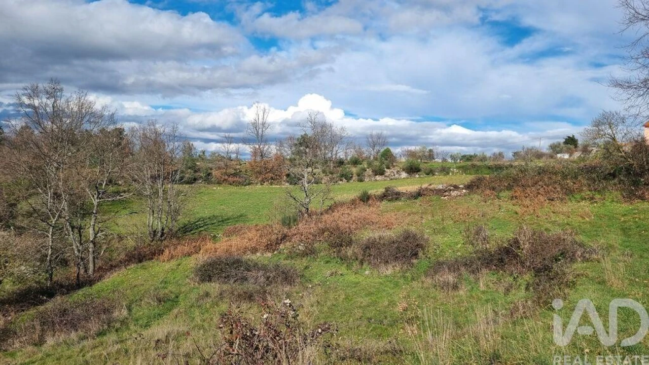 Terreno para Venda em São Pedro e Santa Maria e Vila Boa do Mondego Foto 28