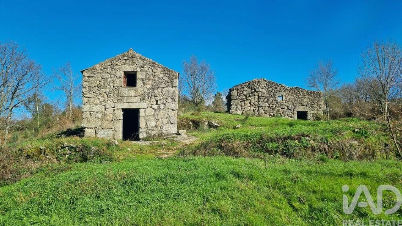 Terreno para Venda em São Pedro e Santa Maria e Vila Boa do Mondego Foto 10