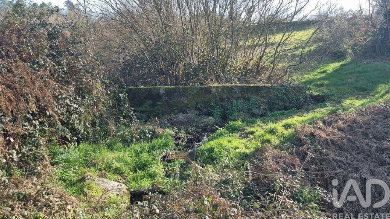 Terreno para Venda em São Pedro e Santa Maria e Vila Boa do Mondego Foto 16