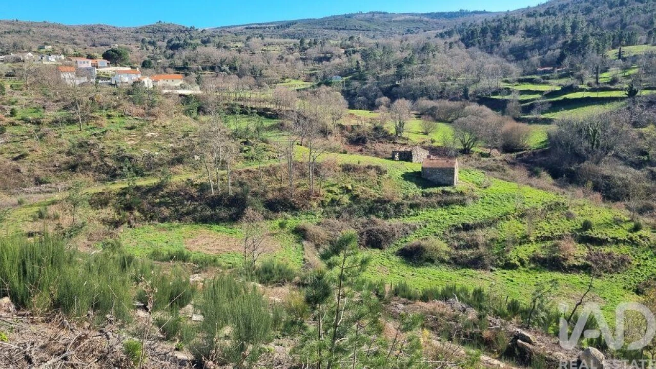 Terreno para Venda em São Pedro e Santa Maria e Vila Boa do Mondego Foto 4