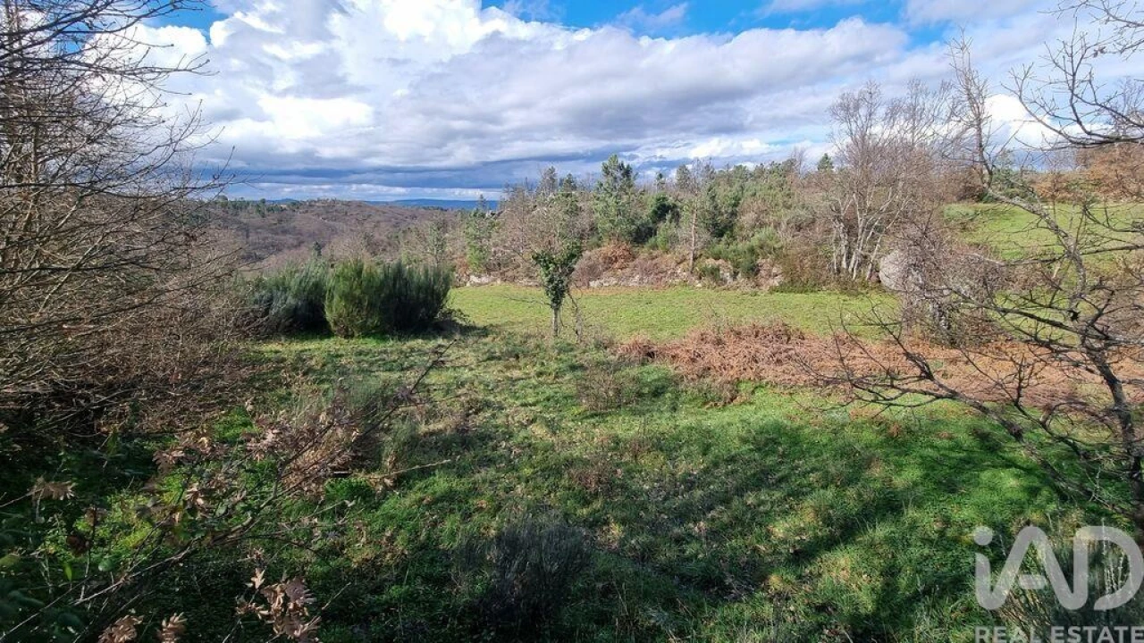 Terreno para Venda em São Pedro e Santa Maria e Vila Boa do Mondego Foto 8