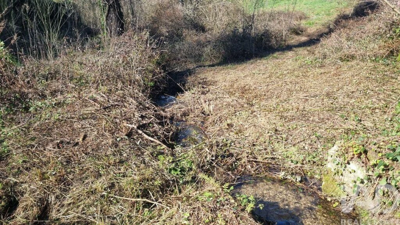 Terreno para Venda em São Pedro e Santa Maria e Vila Boa do Mondego Foto 31
