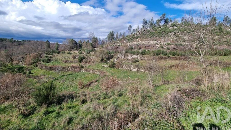 Terreno para Venda em São Pedro e Santa Maria e Vila Boa do Mondego Foto 20