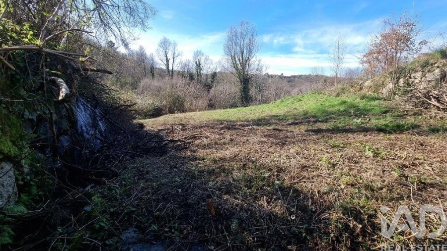 Terreno para Venda em São Pedro e Santa Maria e Vila Boa do Mondego Foto 23