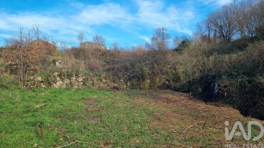 Terreno para Venda em São Pedro e Santa Maria e Vila Boa do Mondego Foto 22
