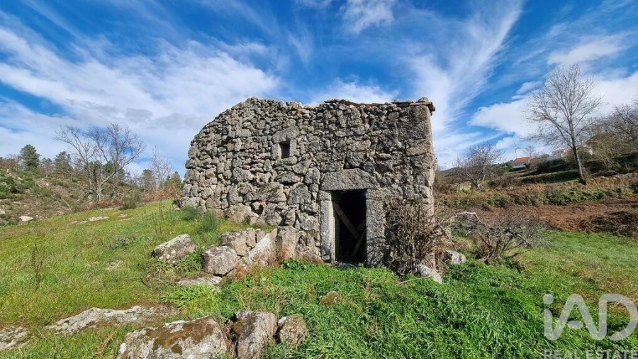Terreno para Venda em São Pedro e Santa Maria e Vila Boa do Mondego Foto 35