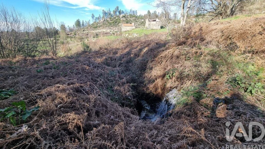 Terreno para Venda em São Pedro e Santa Maria e Vila Boa do Mondego Foto 18