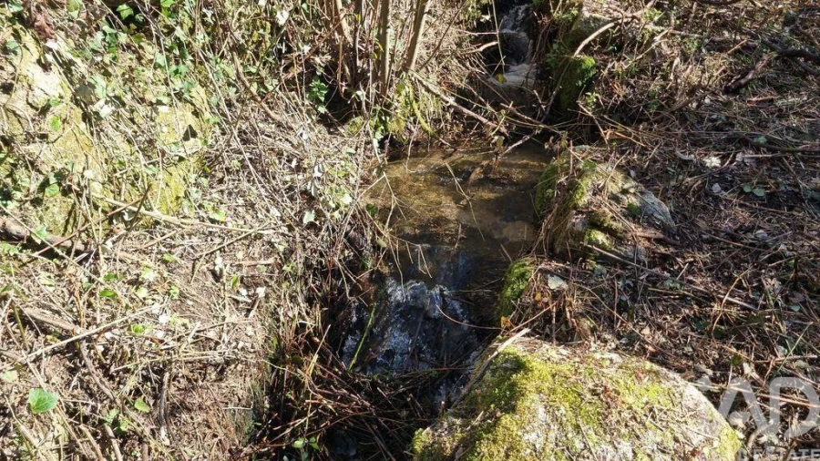 Terreno para Venda em São Pedro e Santa Maria e Vila Boa do Mondego Foto 6