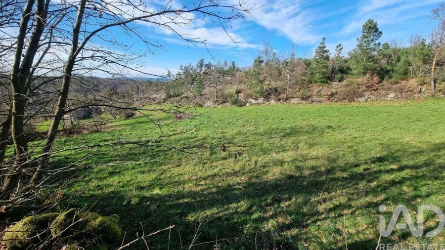 Terreno para Venda em São Pedro e Santa Maria e Vila Boa do Mondego Foto 26