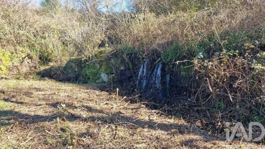 Terreno para Venda em São Pedro e Santa Maria e Vila Boa do Mondego Foto 21