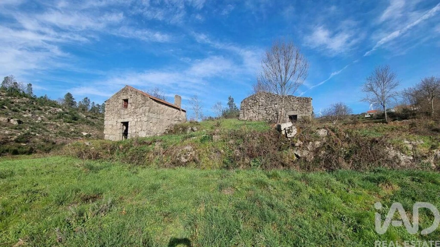 Terreno para Venda em São Pedro e Santa Maria e Vila Boa do Mondego Foto 2