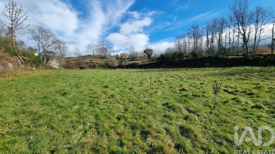 Terreno para Venda em São Pedro e Santa Maria e Vila Boa do Mondego Foto 7