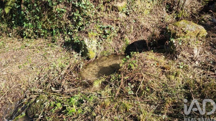 Terreno para Venda em São Pedro e Santa Maria e Vila Boa do Mondego Foto 5