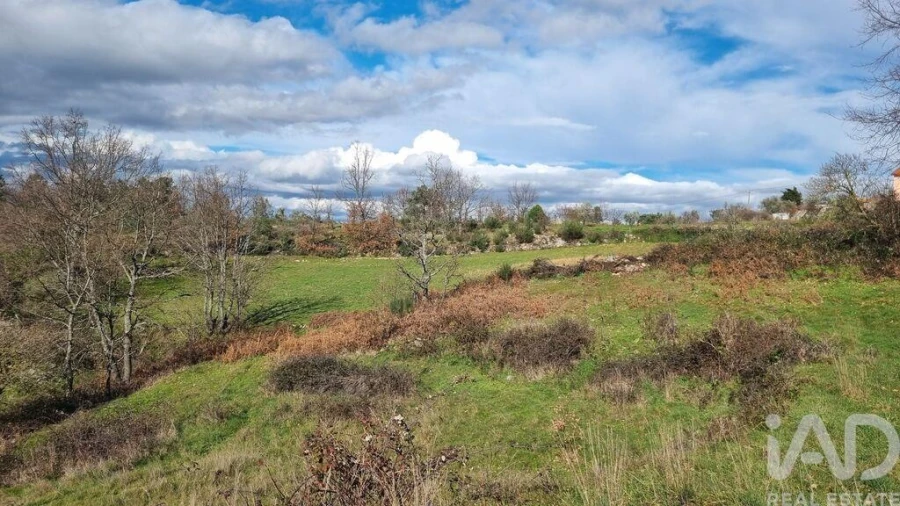 Terreno para Venda em São Pedro e Santa Maria e Vila Boa do Mondego Foto 28