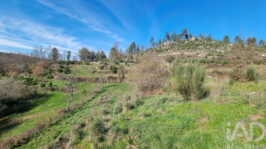 Terreno para Venda em São Pedro e Santa Maria e Vila Boa do Mondego Foto 32