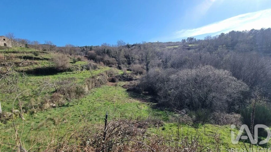 Terreno para Venda em São Pedro e Santa Maria e Vila Boa do Mondego Foto 34