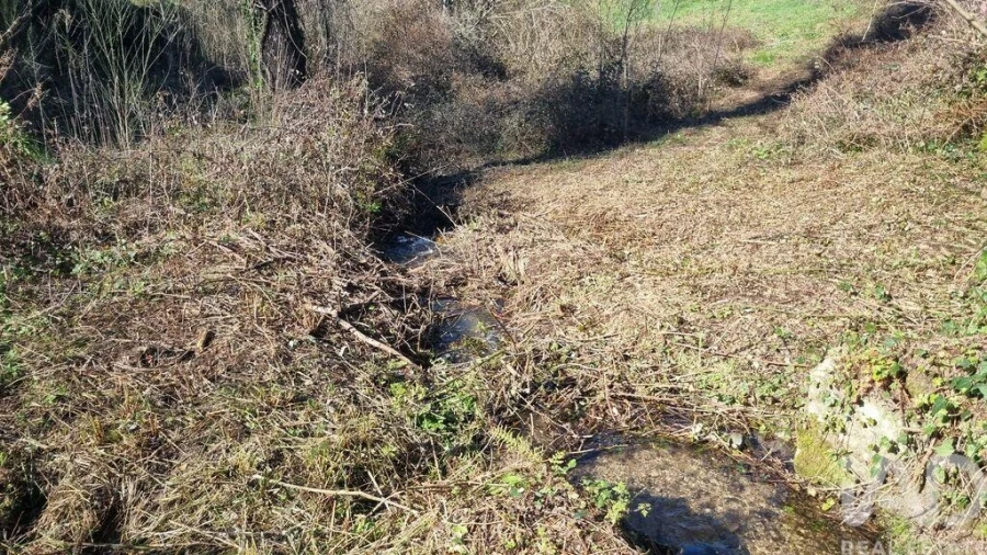 Terreno para Venda em São Pedro e Santa Maria e Vila Boa do Mondego Foto 31