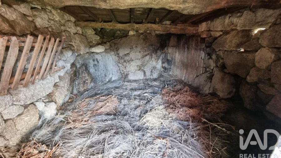 Terreno para Venda em São Pedro e Santa Maria e Vila Boa do Mondego Foto 14