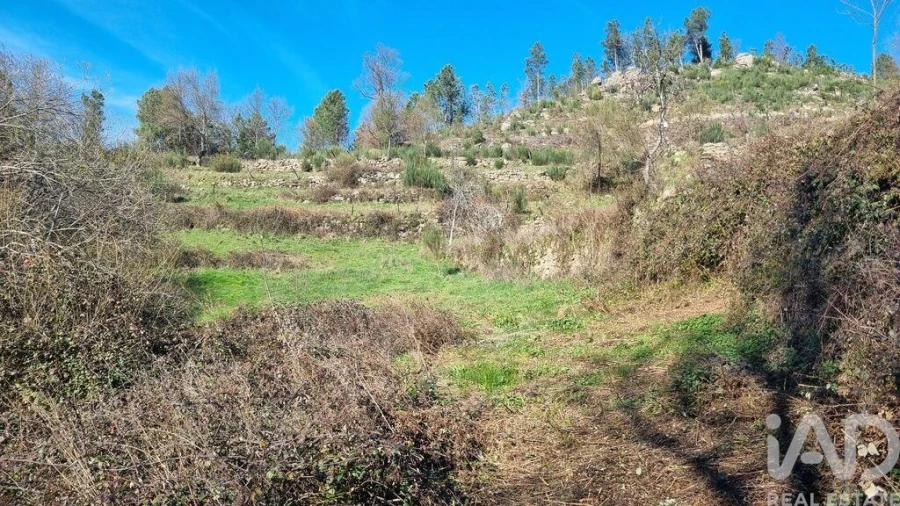 Terreno para Venda em São Pedro e Santa Maria e Vila Boa do Mondego Foto 24