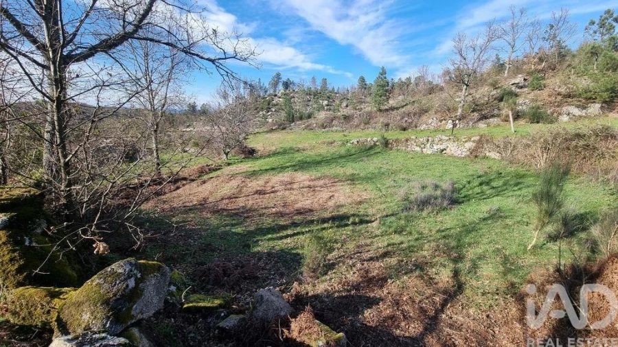 Terreno para Venda em São Pedro e Santa Maria e Vila Boa do Mondego Foto 25