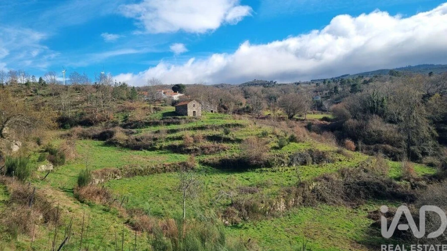 Terreno para Venda em São Pedro e Santa Maria e Vila Boa do Mondego Foto 36